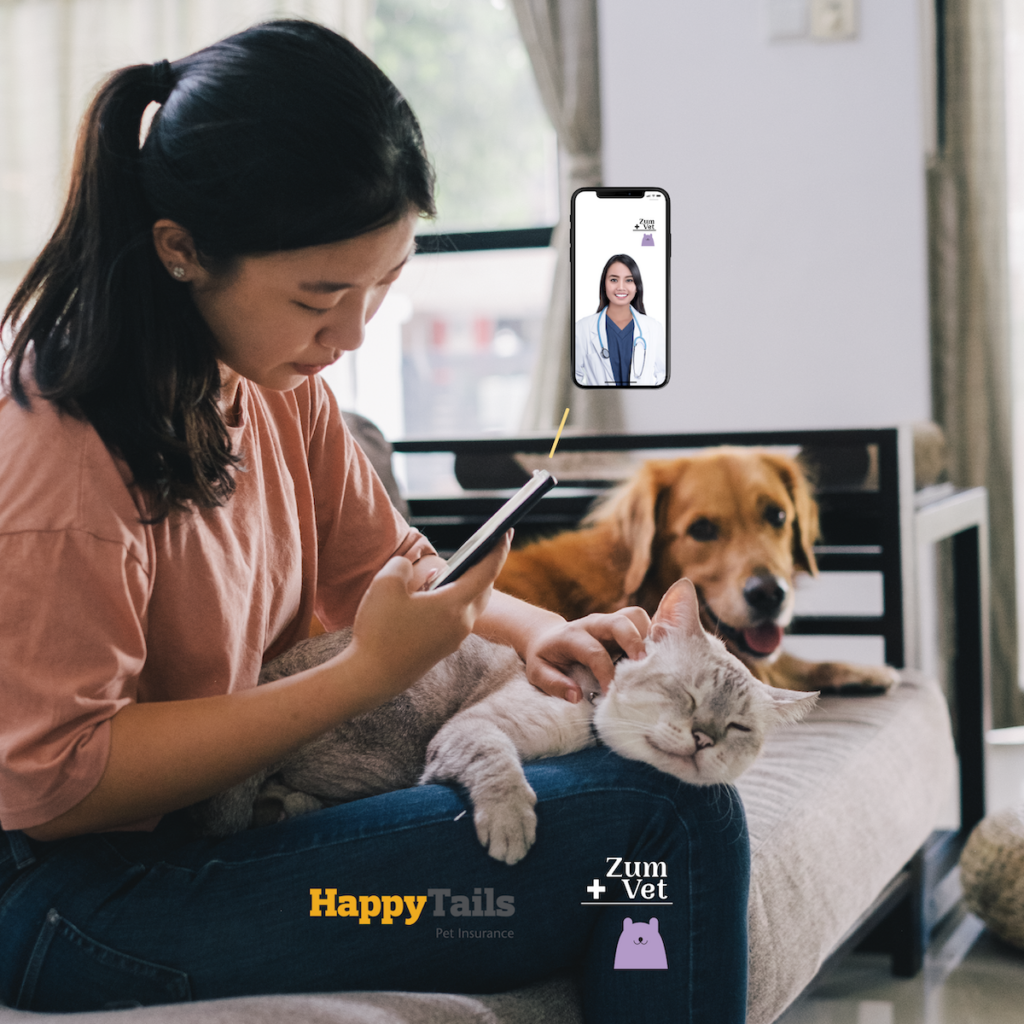 Happy Tails x ZumVet - ZumVet Blog