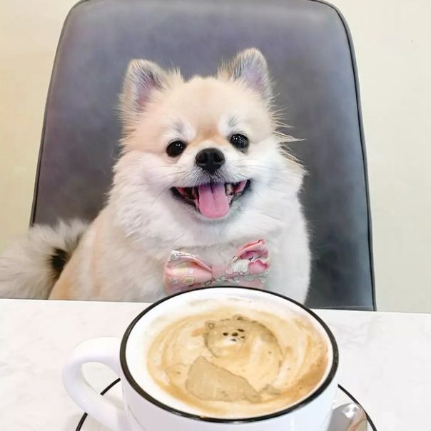 dog smiling with a latte with an art of a dog