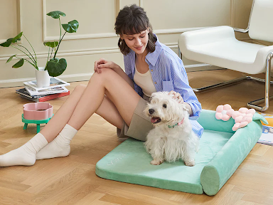 an owner with her puppy on a dog sofa