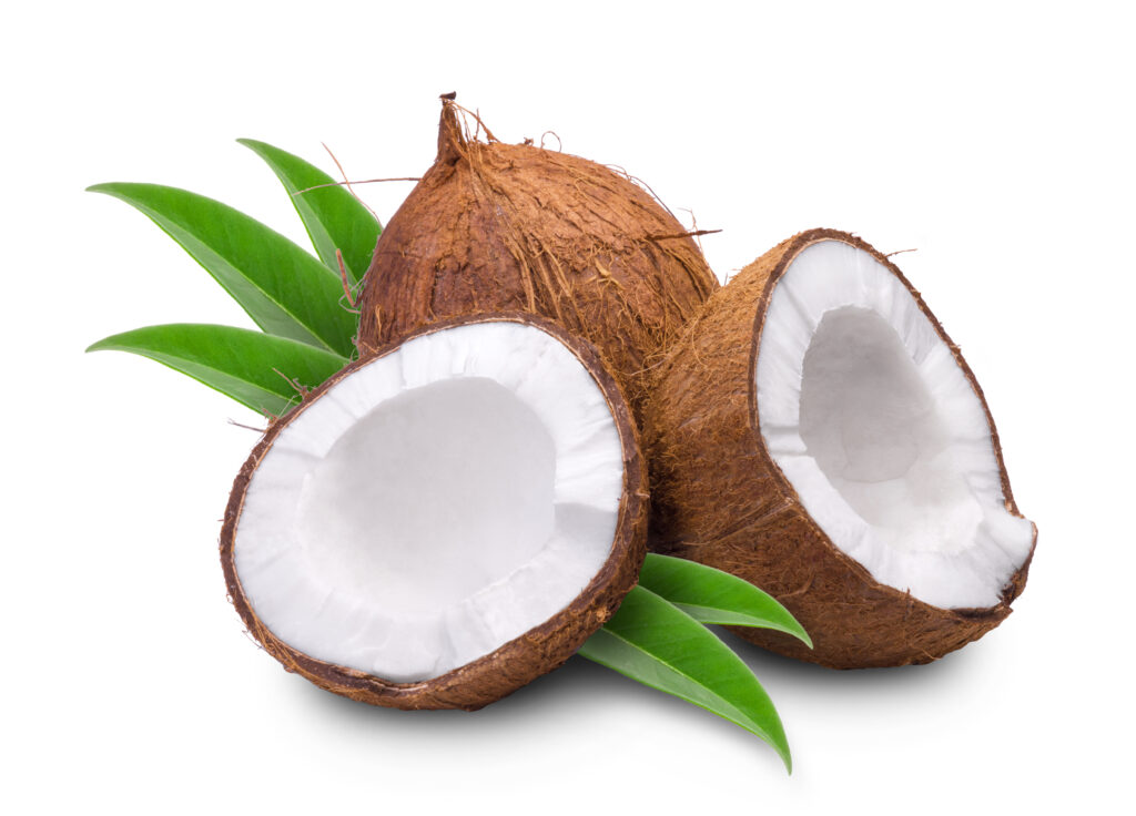 coconut